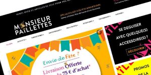 Site Web Monsieur Paillettes